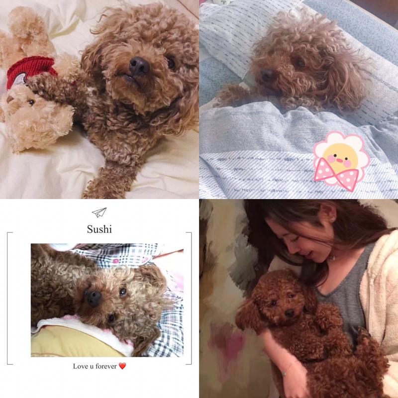 古灵精怪的小宝贝